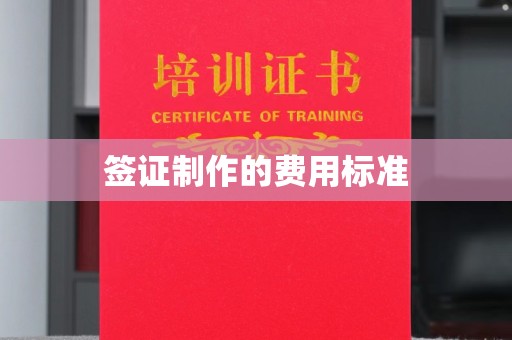 雅安签证制作的费用标准