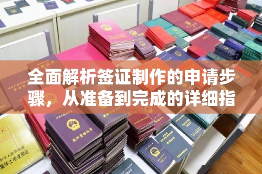 雅安全面解析签证制作的申请步骤，从准备到完成的详细指南