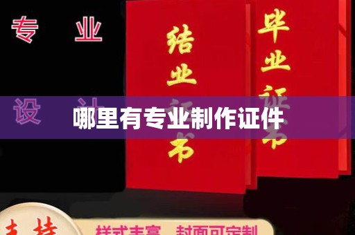 雅安哪里有专业制作证件